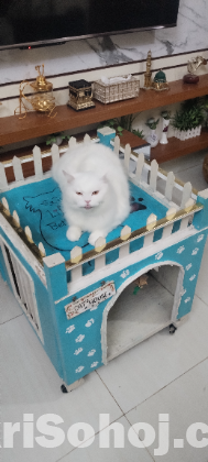 Cat house with laddar and useble roof